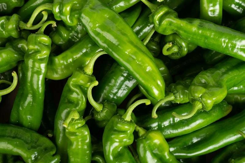 Piment corne de bœuf prix au kg
