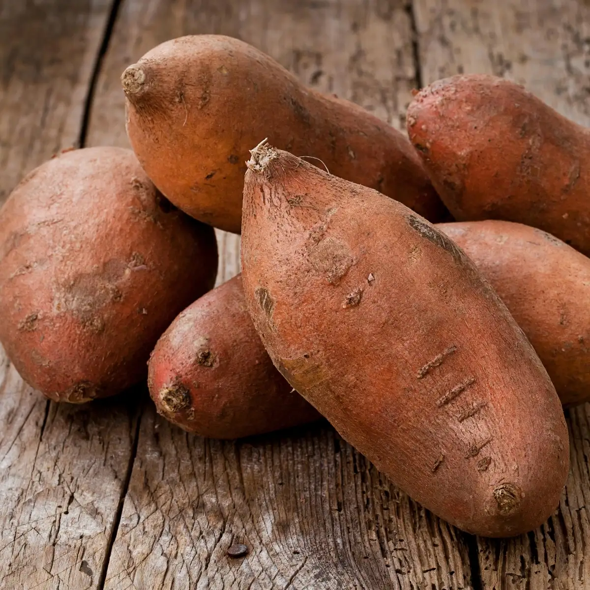 Patate douce Prix au kg